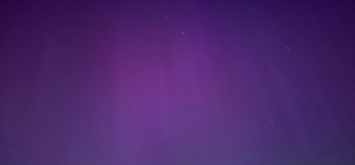 Redacted 🌈🌻🇺🇦🕊️💉🦠 tweet media