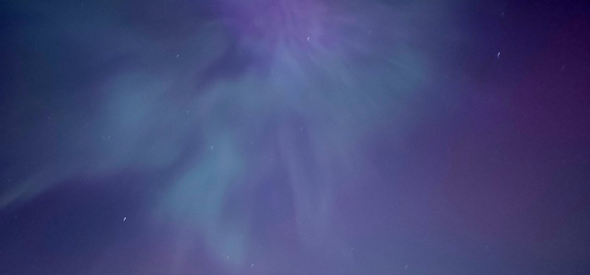 Redacted 🌈🌻🇺🇦🕊️💉🦠 tweet media