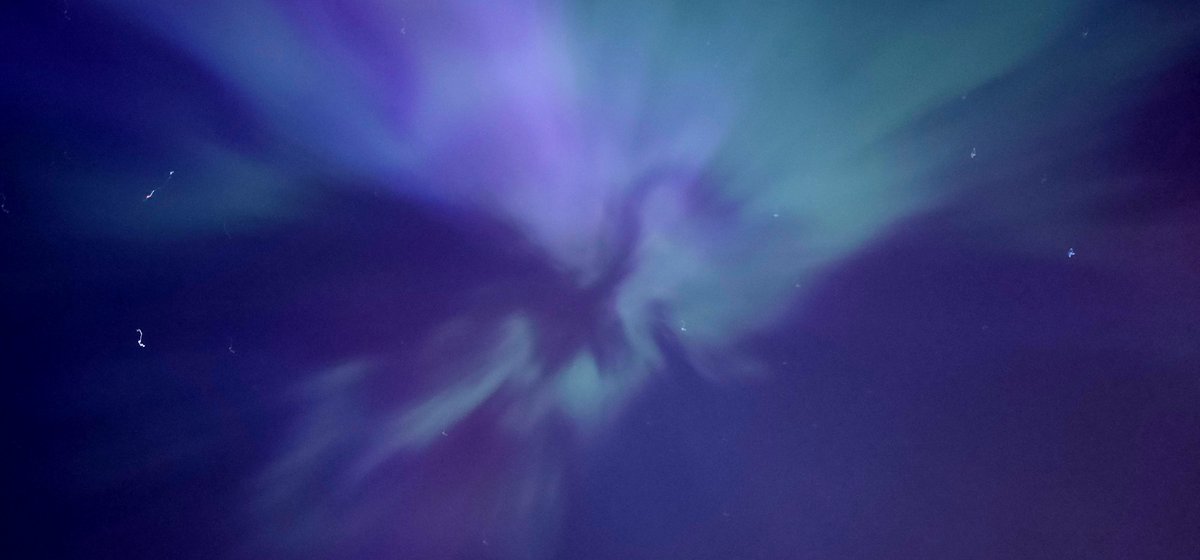 Redacted 🌈🌻🇺🇦🕊️💉🦠 tweet media