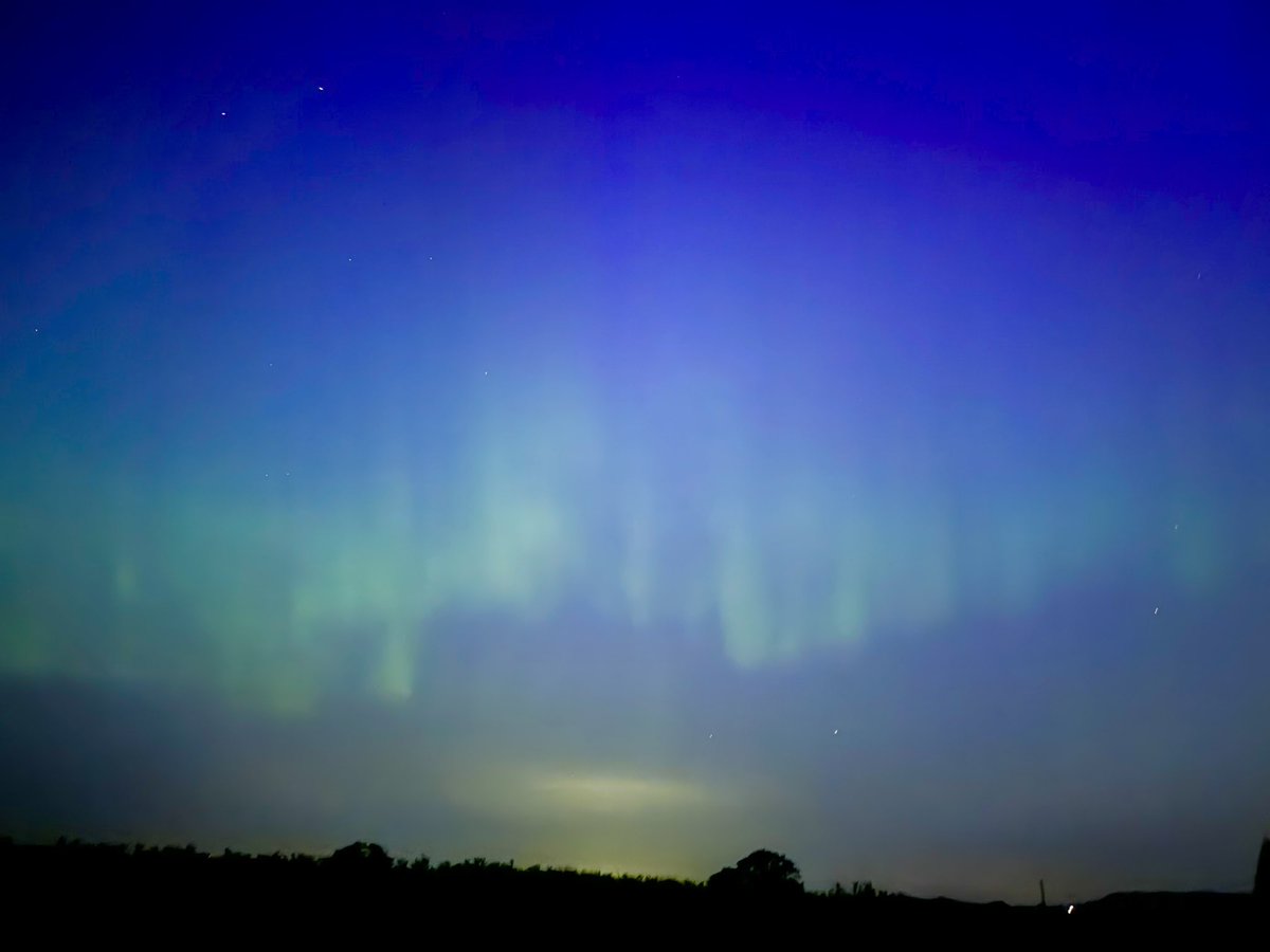 Dan Flower tweet media