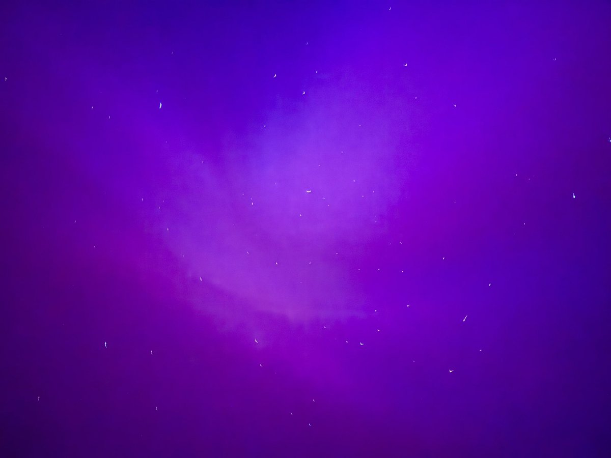 Dan Flower tweet media