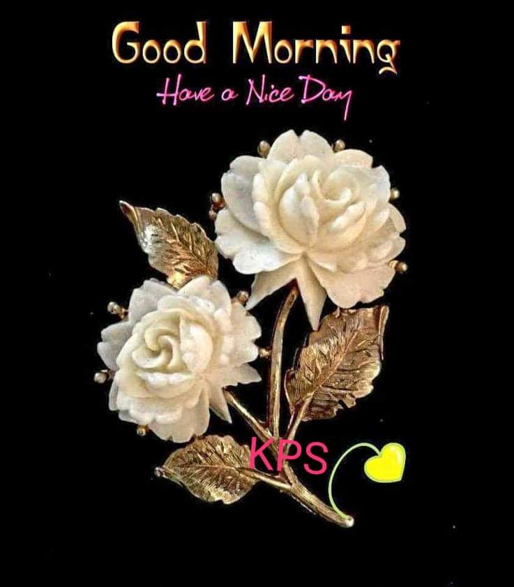💞Nazaket Mehmood💞 tweet media