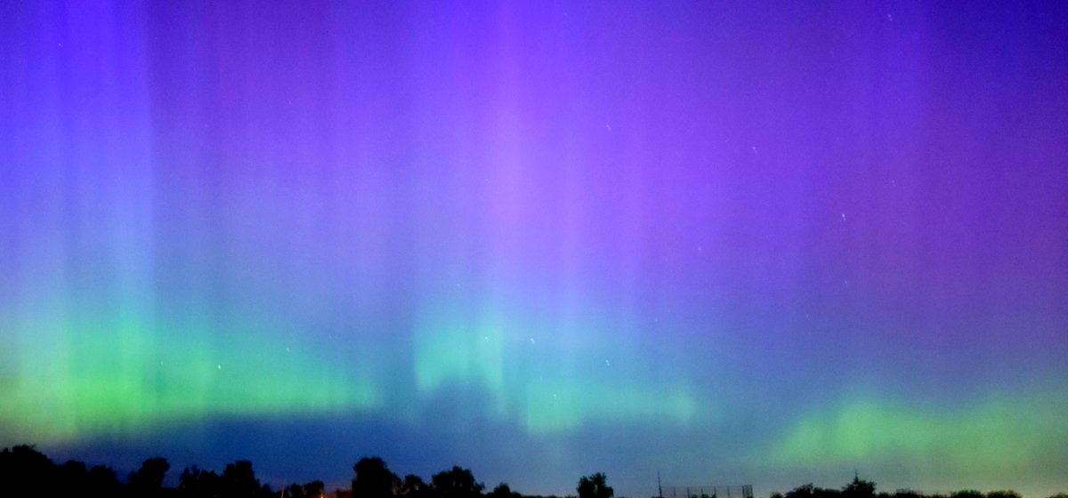 Redacted 🌈🌻🇺🇦🕊️💉🦠 tweet media