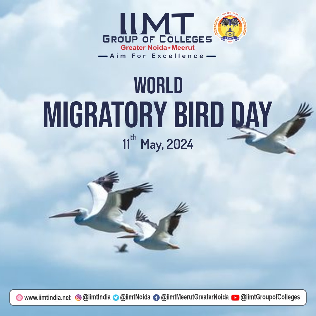 11th May 2024 🌍✈️ Happy World Migratory Bird Day! 🐦🌿 . iimtindia.net Call Us: 9520886860 . #WorldMigratoryBirdDay #BirdMigration #NatureConservation #IIMTIndia #IIMTNoida #IIMTGreaterNoida #IIMTDelhiNCR #IIMTian