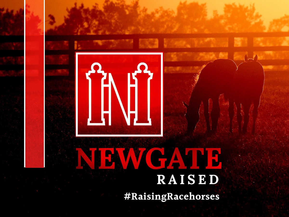 NEWGATE RAISED STAKES WINNER The @gobloodstockaus owned and bred THALASSOPHILE shows her class in the Listed Silk Stocking 🏆 Congratulations to Sir Owen Glenn, @cwallerracing & @mcacajamez on a wonderful victory. #RaisingRacehorses