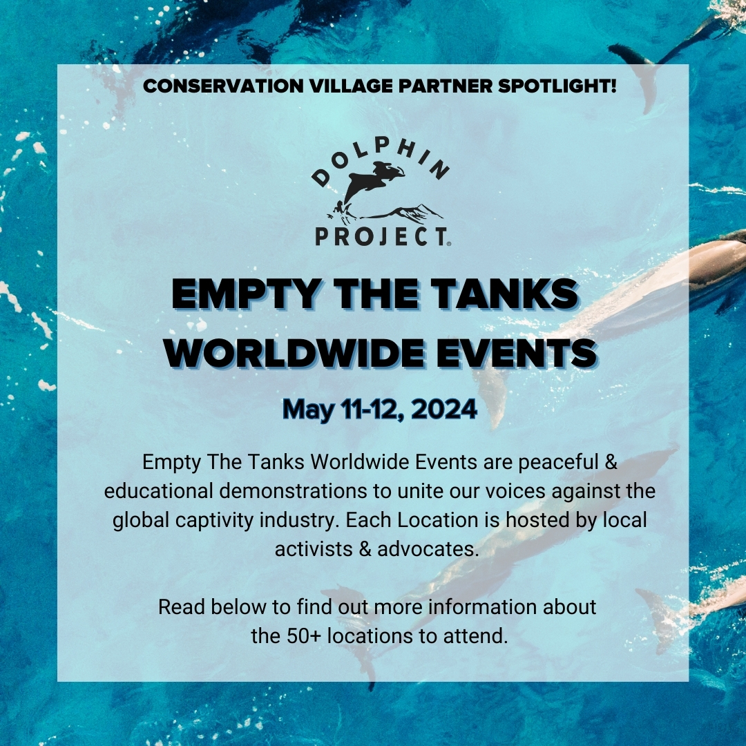 Dolphin Project has worldwide Empty The Tanks Events in over 60 locations! 🌎🐬 Join them in the race to end marine mammal captivity across the globe. For times and details, please click on the individual location at: emptythetanks.org/upcomingevents