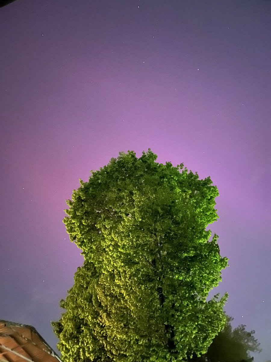 MTCFuster's tweet image. Watching the auroras dance.

📍 Waltham, Massachusetts 

#aurora #aurorasboreales #massachusetts #northernlights #auroraborealis #aurora