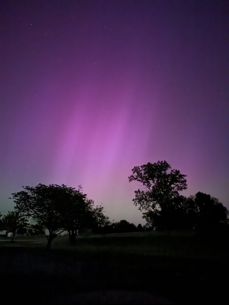 Christy Sandell tweet media