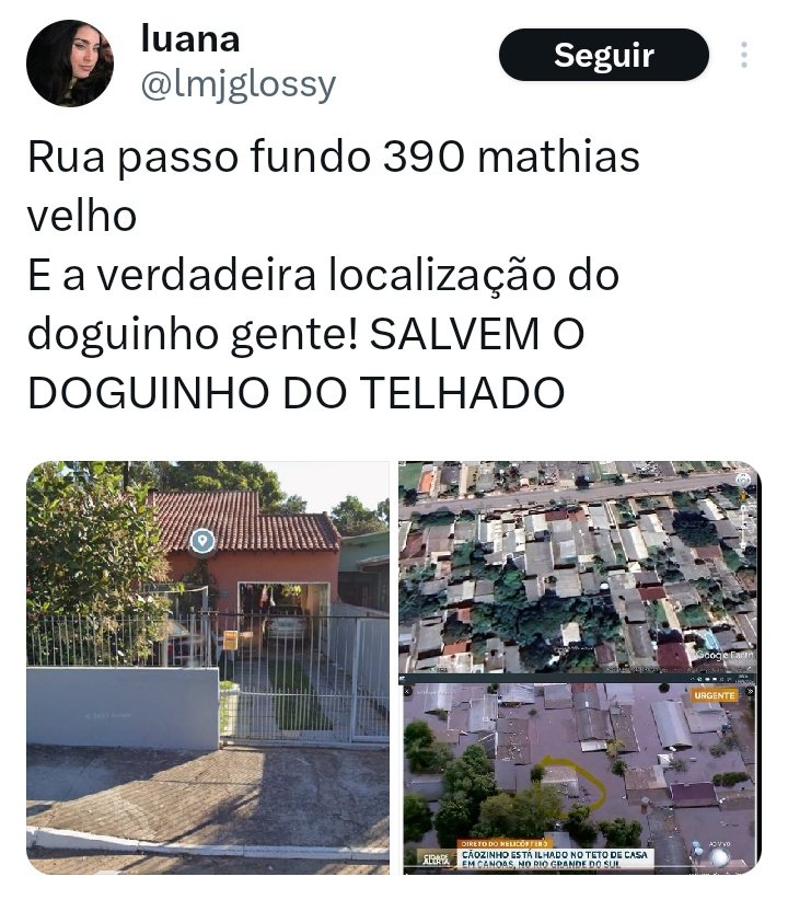 Tali_JBZM's tweet photo. A localização de onde está o Doguinho, continuem subindo, mandem mensagem para essa moça, ela está lá por perto, quanto mais gente mandar melhor, e esse é o endereço, SALVEM O DOGUINHO DO TELHADO https://t.co/CW9TIoJueL