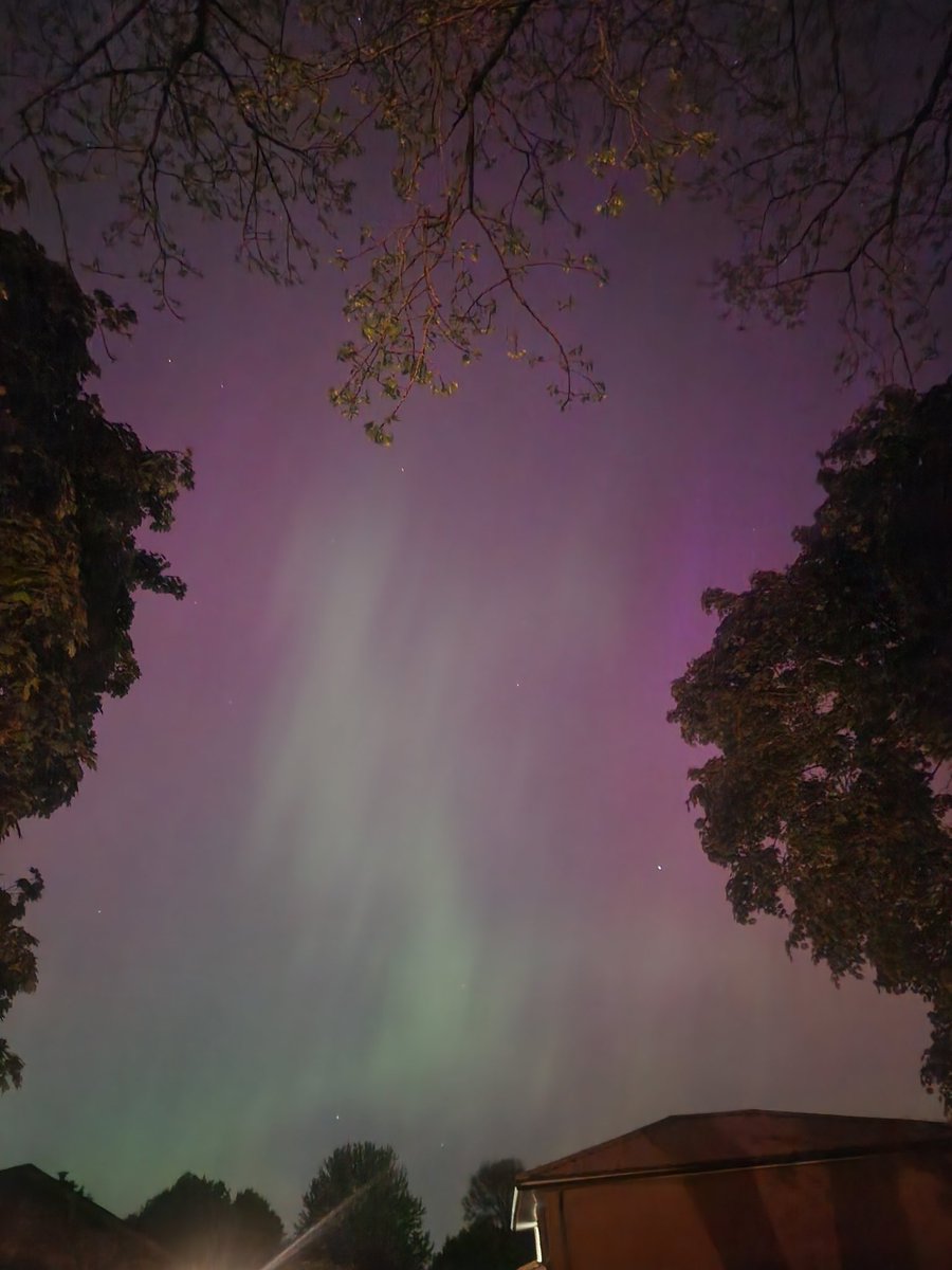 Dan Flaherty tweet media