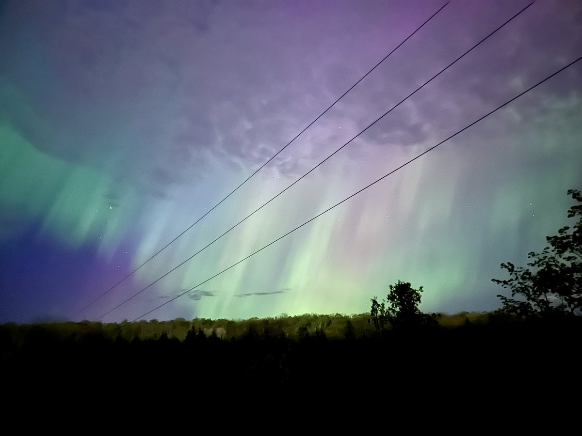 Austin Brettell tweet media