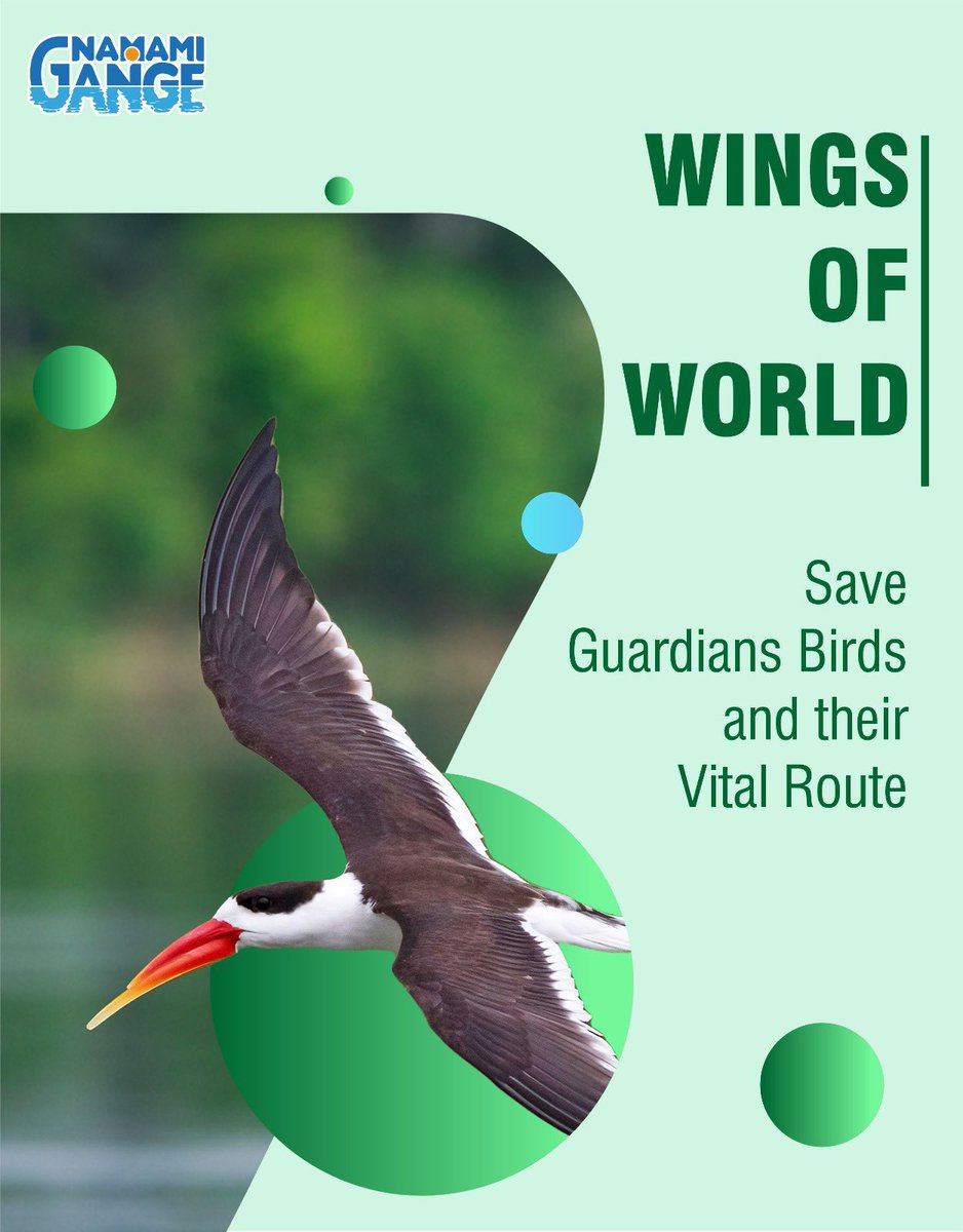Encourage people to clean those areas which are on their  route to travel ensure no pollution and promote cleaning of water bodies. #WingsOfWorld #WorldMigratoryBirdDay #HabitatOfWings