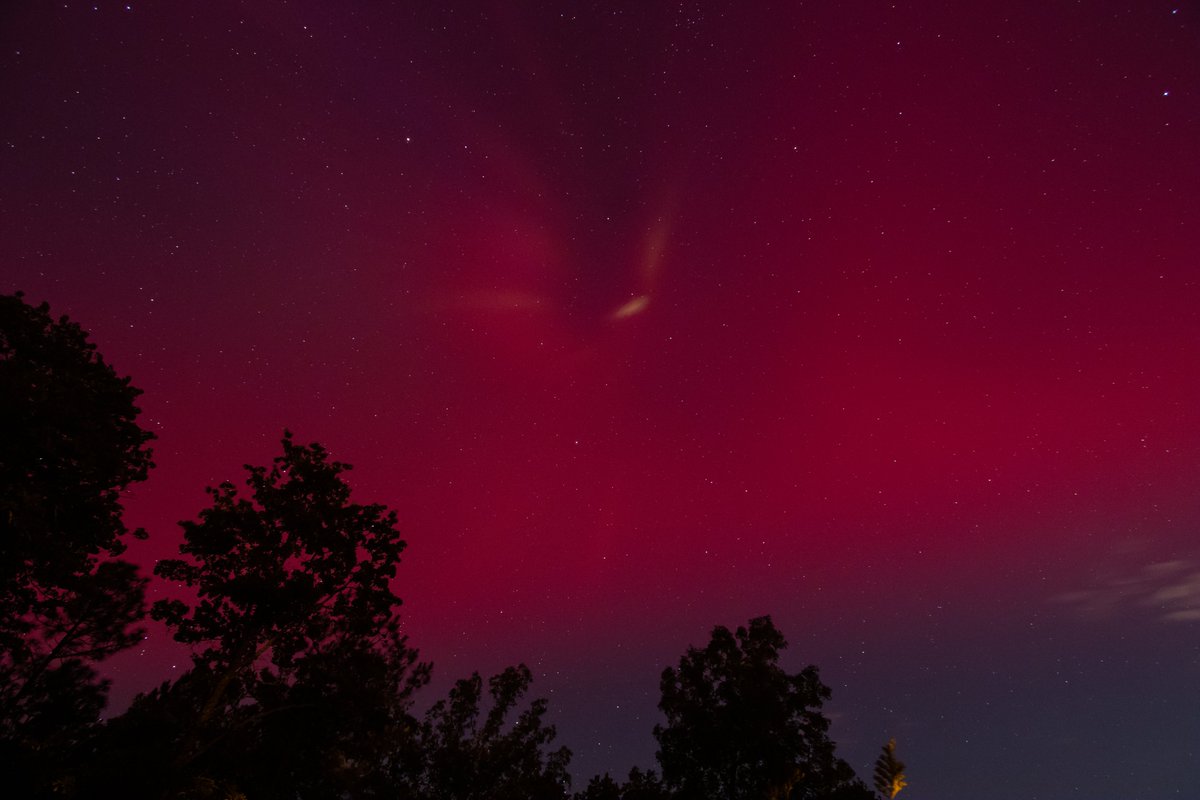 Stephan Frank tweet media