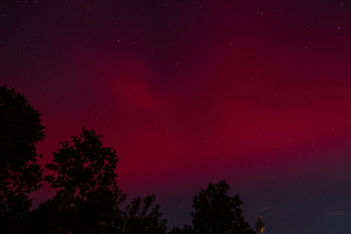 Stephan Frank tweet media