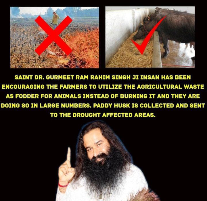Dera Sacha Sauda is the one of the that organization who is running Protection Campaign under the guidance of Ram Rahim Ji. Guru Ji guide us to 
 don't burn agriculture waste instead give it to animals as a food it will control the pollution & save your money #PollutionFreeNation
