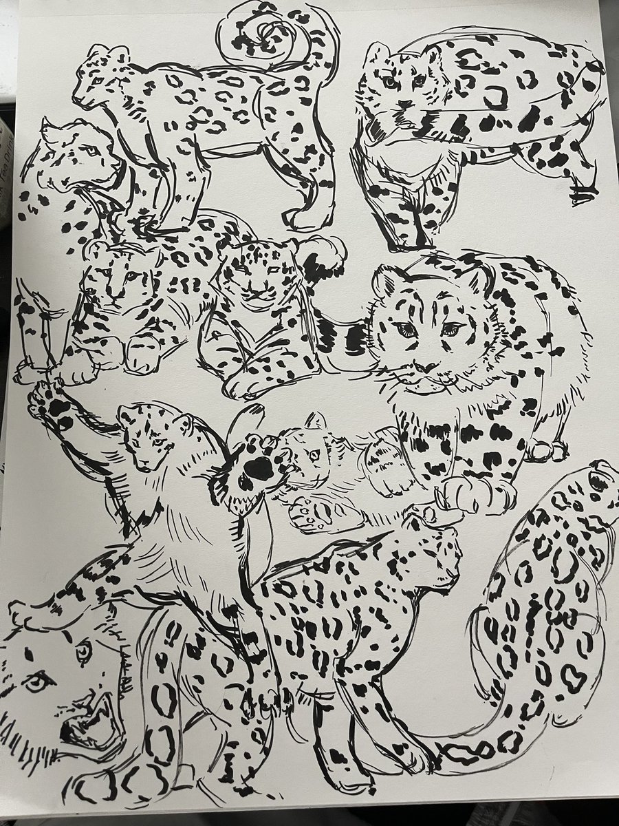 BoiledFish6's tweet image. recent sketches i like
#sketch #Sketching