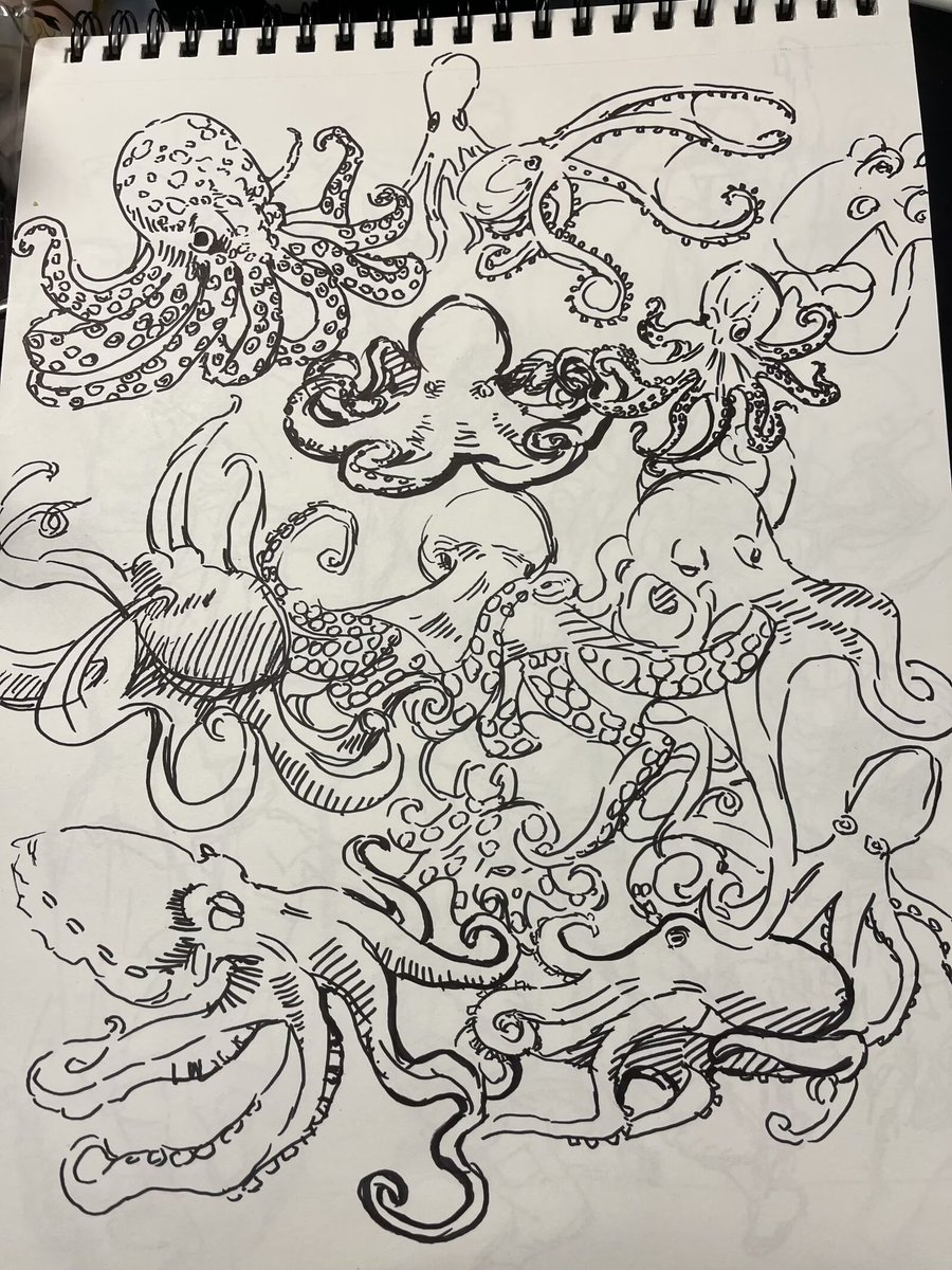 BoiledFish6's tweet image. sketch