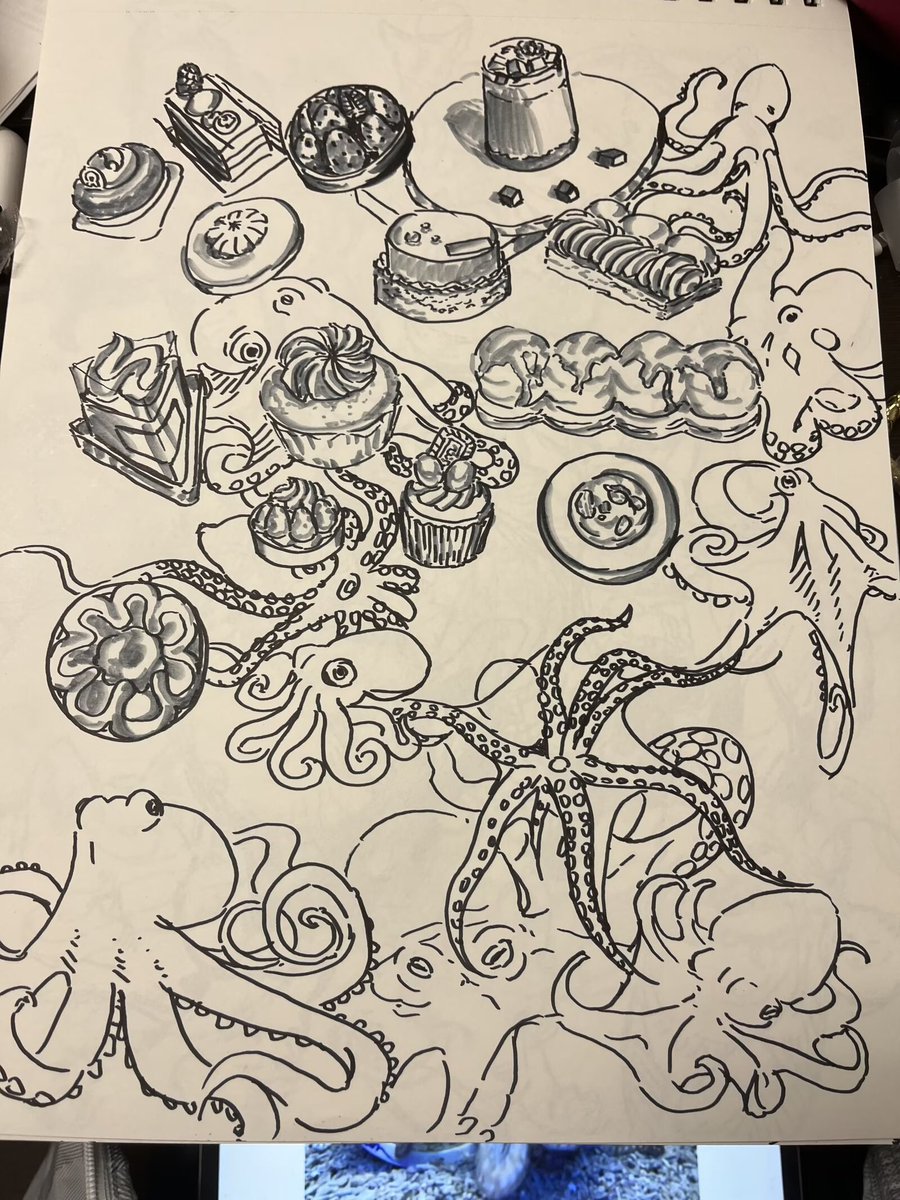 BoiledFish6's tweet image. more