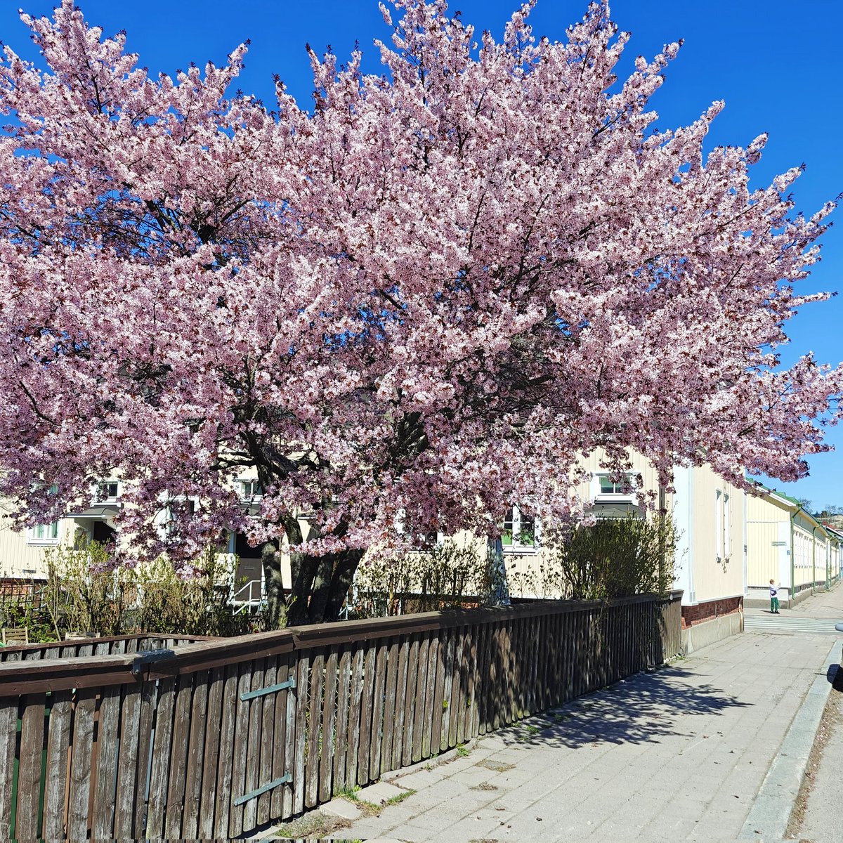 Huomenet Turusta. Toivottavasti sinullakin on mukava päivä edessä. ☀️ #Turku #hyväähuomenta @VisitTurku @Turkukaupunki