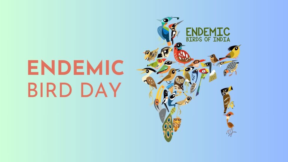 Endemic Bird Day starts today – 11 May 2024. It’s a day to rejoice and document the endemic birds of our sub-continent! 

Steps to participate: 
1. Watch birds of at least 15 minutes or more
2. Count all the birds that you can identify by sight or sound
3. Upload your sightings…