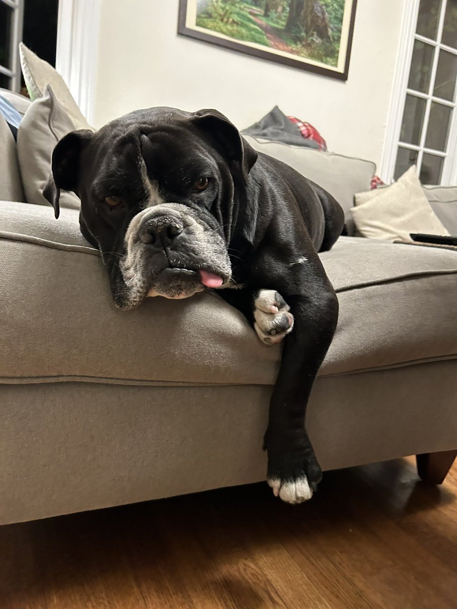 @fastmissile.bsky.social tweet media