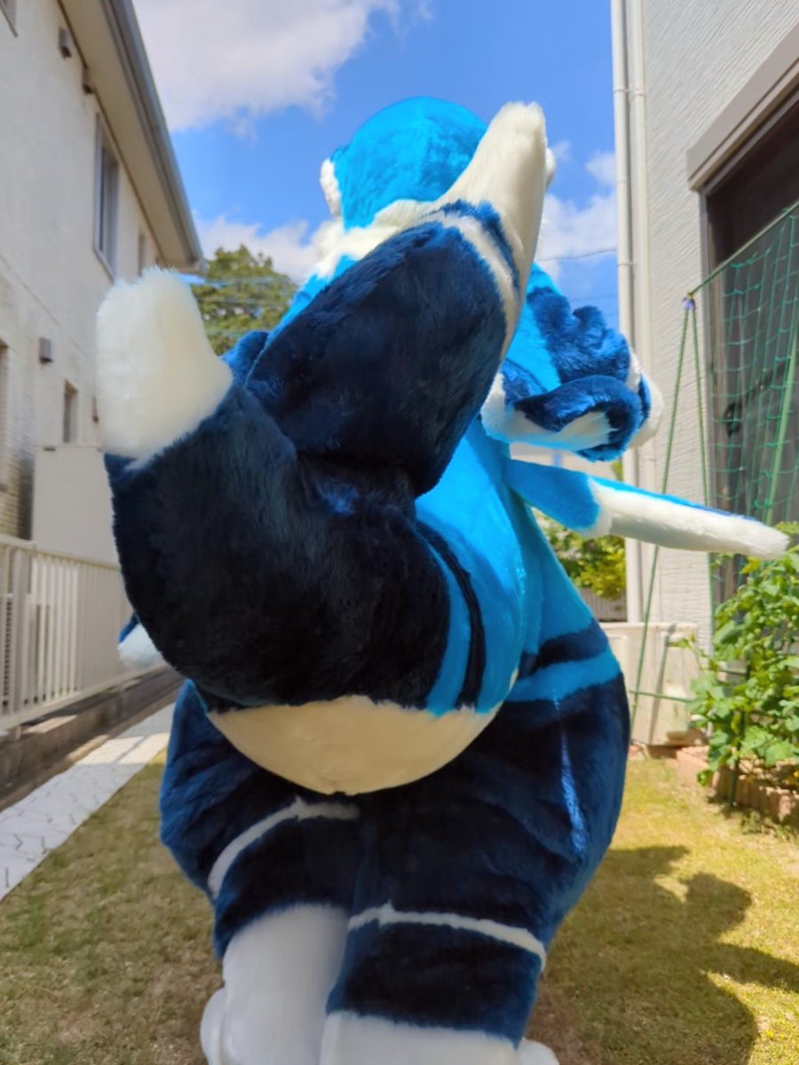 rangiruliuli's tweet image. この度アトリエあまのじゃく様より
レッサメ族の男の子:リウリ:を
お迎えしました✨✨
もちもちのお腹と大きな
尻尾が特徴な仔です♪
イベントなどで見かけた際は
気軽に声をかけてください‼️
🪡アトリエあまのじゃく様
@amanojaku_j
🎨イチヒ様
@itihi3
#Fursuit #FursuitEveryday