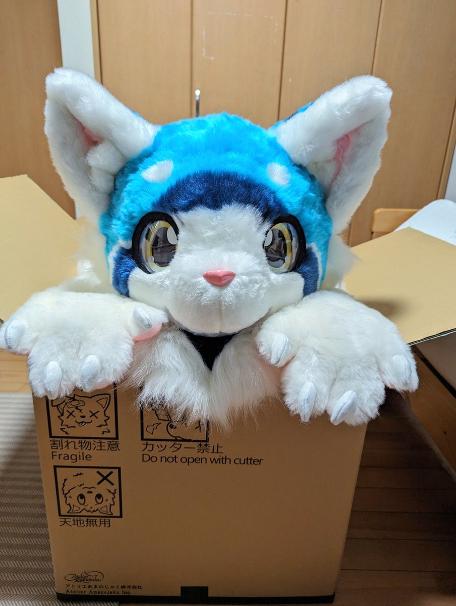 rangiruliuli's tweet image. この度アトリエあまのじゃく様より
レッサメ族の男の子:リウリ:を
お迎えしました✨✨
もちもちのお腹と大きな
尻尾が特徴な仔です♪
イベントなどで見かけた際は
気軽に声をかけてください‼️
🪡アトリエあまのじゃく様
@amanojaku_j
🎨イチヒ様
@itihi3
#Fursuit #FursuitEveryday