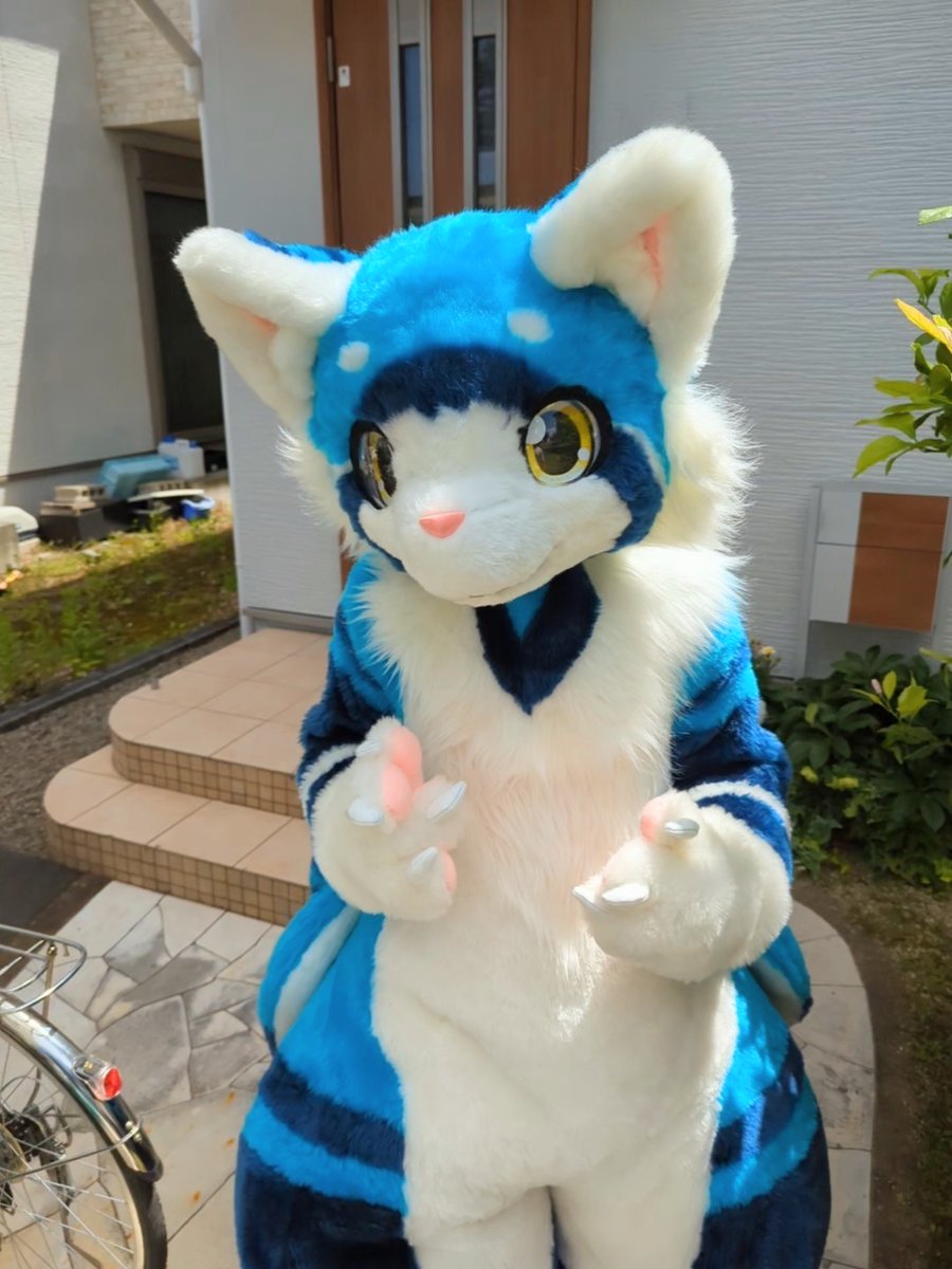 rangiruliuli's tweet image. この度アトリエあまのじゃく様より
レッサメ族の男の子:リウリ:を
お迎えしました✨✨
もちもちのお腹と大きな
尻尾が特徴な仔です♪
イベントなどで見かけた際は
気軽に声をかけてください‼️
🪡アトリエあまのじゃく様
@amanojaku_j
🎨イチヒ様
@itihi3
#Fursuit #FursuitEveryday