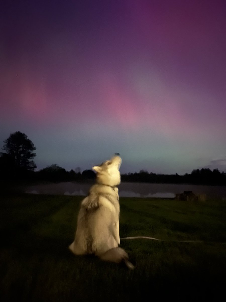 FragmentoAzul's tweet photo. #Aurora #NorthernLights https://t.co/pMSy5HQrmJ