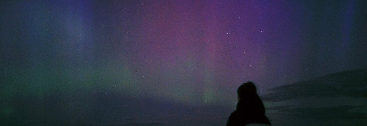 Une fleur. tweet media