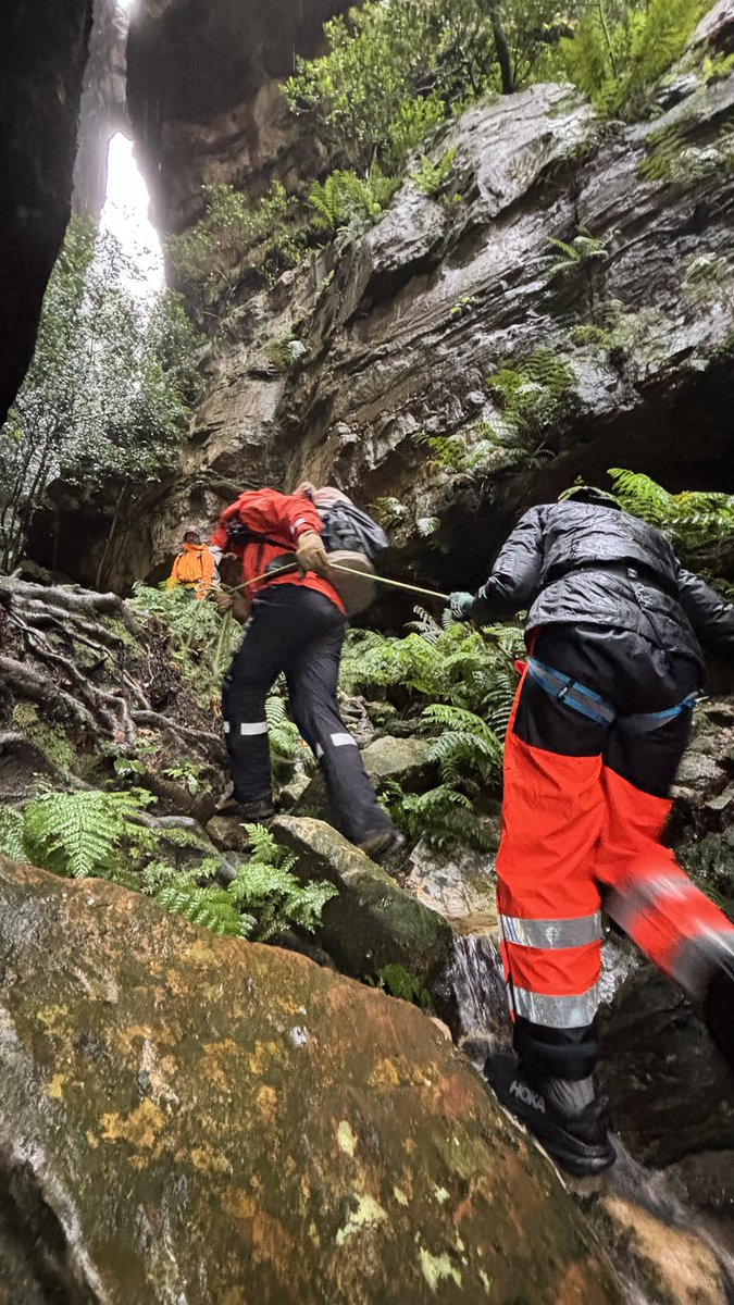 Lost bushwalker found safe! 🌿 In a challenging search amidst heavy rain, NSW SES crew & NSW Police successfully located a missing woman in the Blue Mountains. Thanks to their expertise, she's safe and sound. Kudos to our heroes! 🙌 #SearchandRescue 👉 ow.ly/yh9250RCjz8