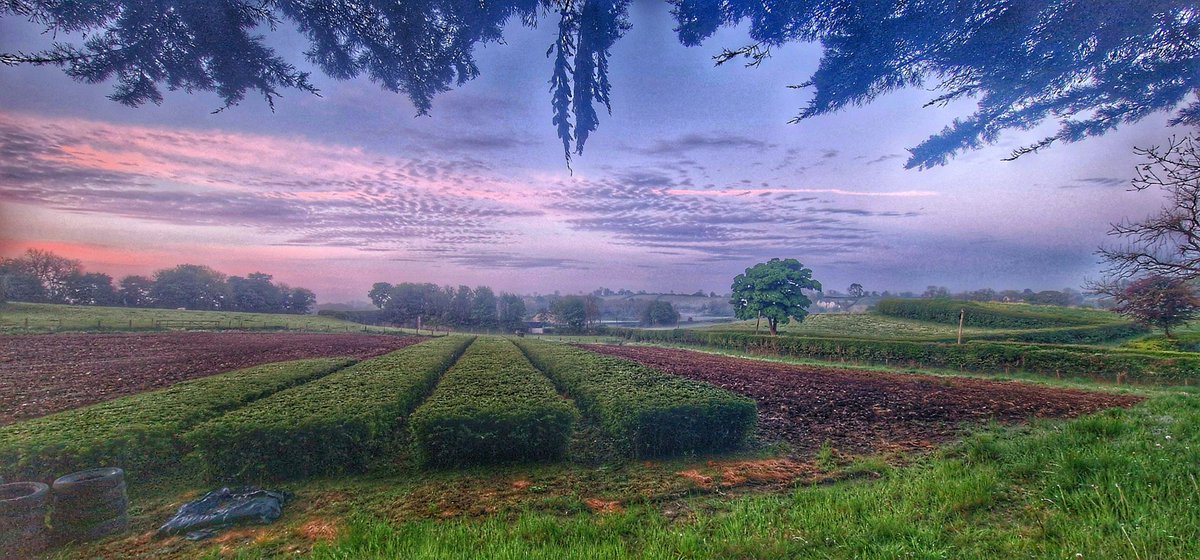 A wee bit hazy at 5.00 am @bbcniweather @angie_weather @WeatherCee @barrabest @linzilima @geoff_maskell @lindahughesmet @Ailser99 @MCMarieB @CarolN657 @CarlingfordIRE @laneyupthehill @StephMT86 @MissEllieN