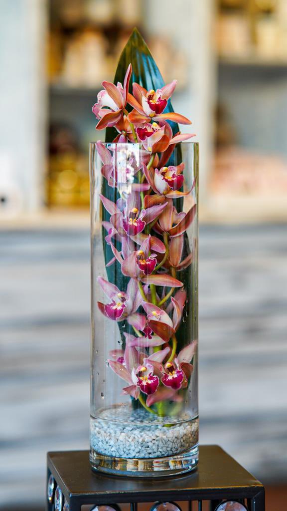 Orchids @arumlilyyeg - 780-475-3545
arumlily.ca
#yegfitness #yegsports #yeggers #yegger #westedmonton #downtownedmonton #ShopNow #Canada #stalbert #sherwoodpark #fortsaskatchewan #northedmonton #funk #petals #flower #shop #flowershop #mothersday2024 #MothersDay #Yeg
