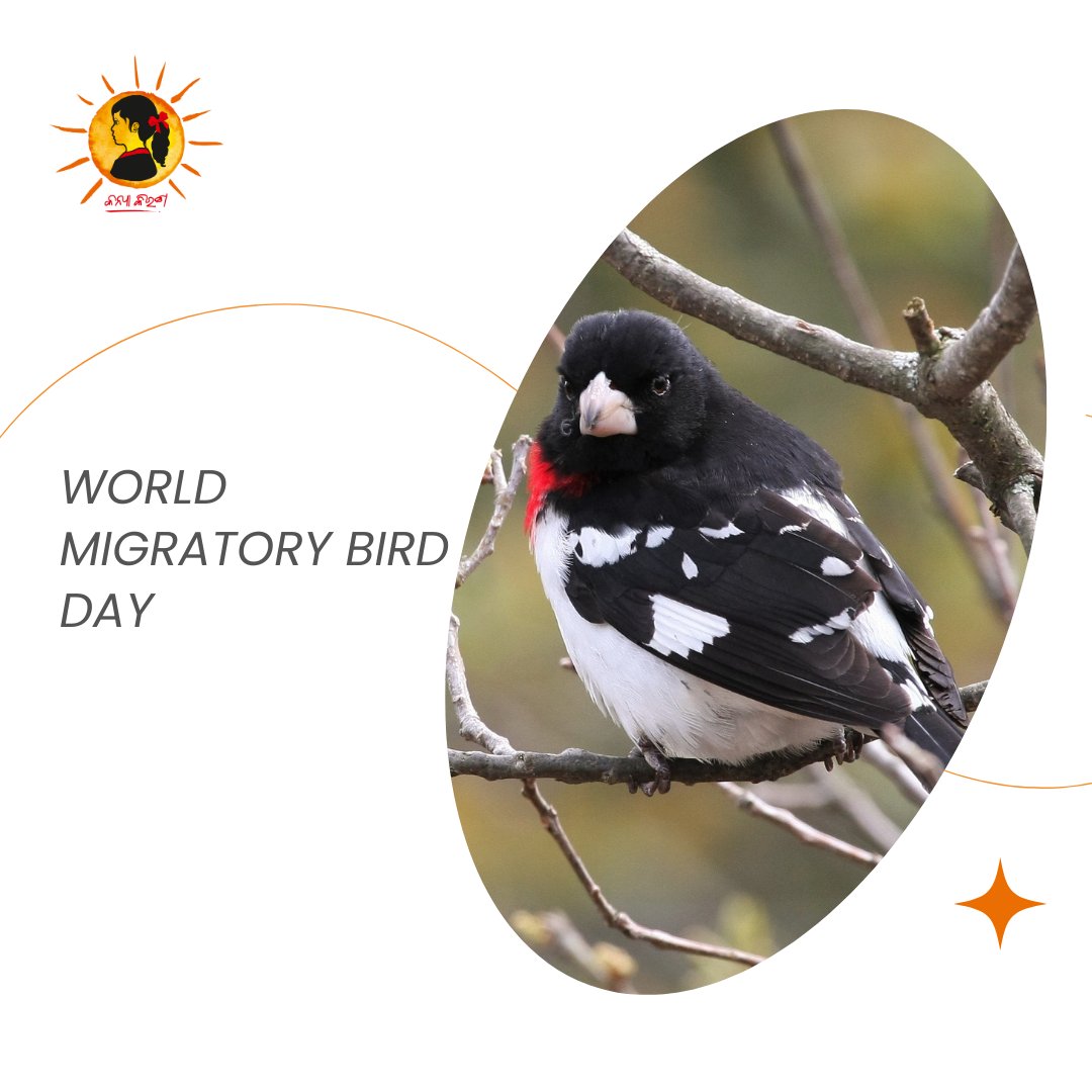 World Migratory Bird Day is an annual event dedicated to raising awareness about the conservation of migratory birds and their habitats. At #KanyaKiran, we recognize the importance of preserving biodiversity and protecting ecosystems that support migratory bird populations.
.
.
.…