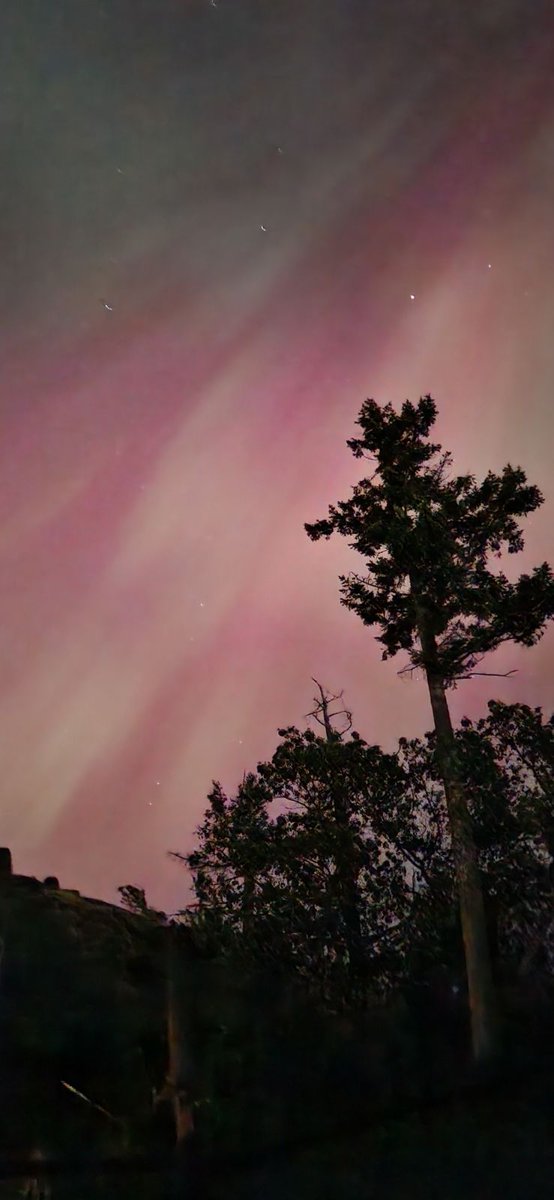 Absolutely incredible to watch for well over an hour. #Auroraborealis #photography #yyj