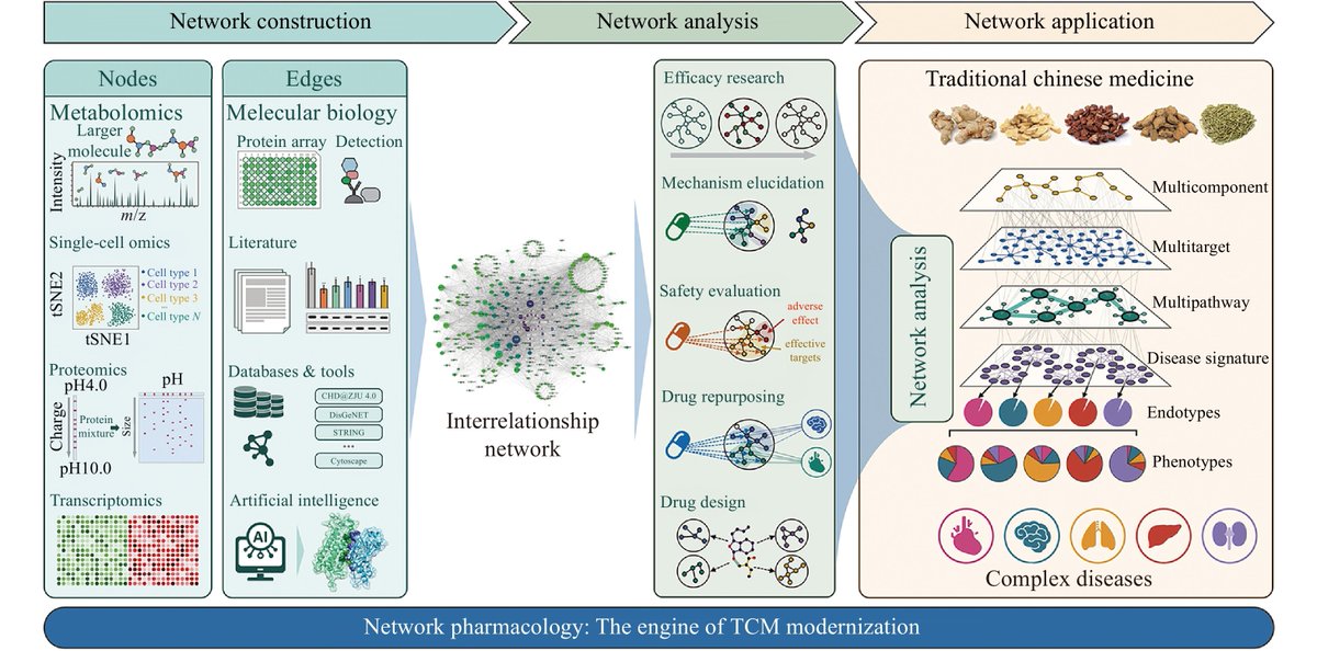 Network pharmacology is developed to cure causal mechanisms instead of treating symptoms. cjnmcpu.com/en/article/doi… #NetworkPharmacology #TraditionalChineseMedicine