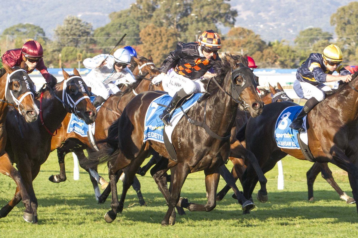 You ripper!! BENEDETTA (Hellbent) scores a fighting win in the G1 Goodwood Hcp @SAJockeyClub for her trainer @WarrenRacing. The 4YO mare is a $75k #InglisPremier buy for @RealWhobegotyou from @millparkstud who's now won 8 of her 15 starts for $1.75m in prizemoney!