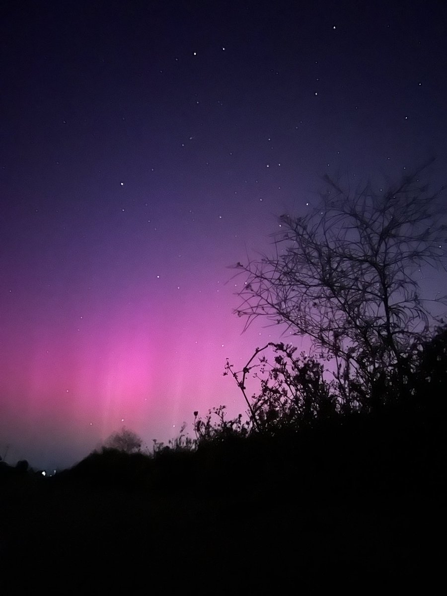 Tiff Mink ✨💜 tweet media