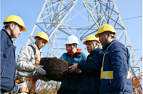Zhou_jinfeng's tweet image. #WorldMigratoryBirdDay  
#WMBD2024 

Protecting the migratory #birds  lifeline 
Migratory birds connect not only ecosystems, but also people and nations in the world. 
 We all have a responsibility to ensure the diverse #habitats migratory birds transit are protected.