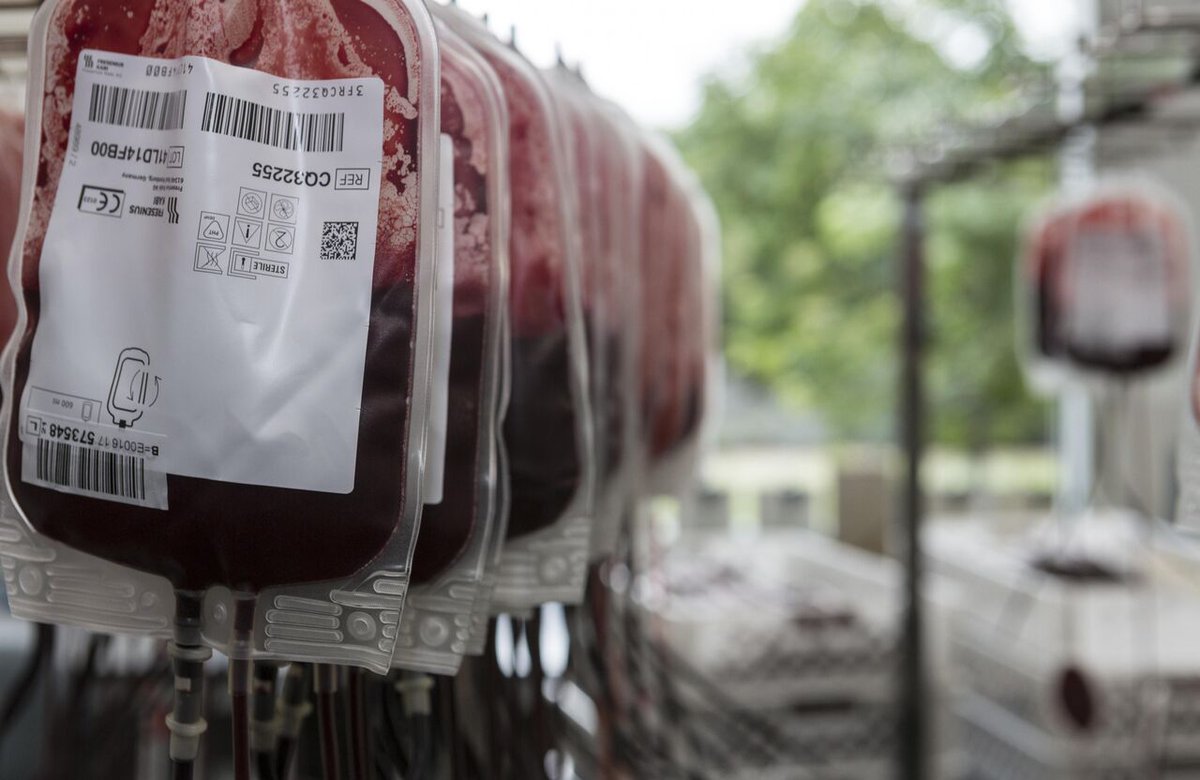 👉 Sabías que...  Los glóbulos rojos son las células sanguíneas más numerosas y contienen la hemoglobina. Cada persona tiene entre 4.000.000 y 6.000.000 por mm3. El exceso de hematíes se denomina eritrocitosis y el déficit anemia.

❣ Anímate a #donarsangre y a #salvarvidas