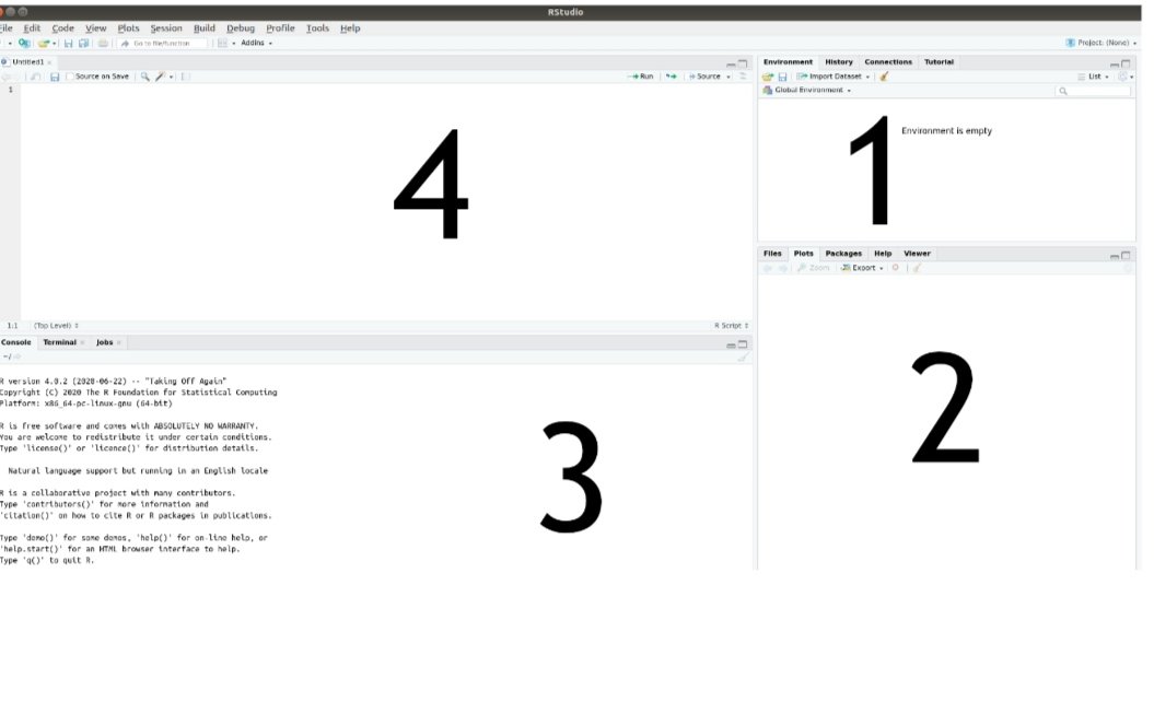 afiadata_ke's tweet image. Day 11 of #90DaysofCode.  Before we close our laptop remember 30 minutes of code is good. Are you a dark mode or light mode? Team R hope by now you know the interface. 1. The Environment panel, where a list of the data you have imported and created can be found.
The Files, Plots