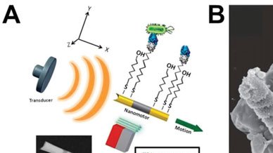 mRNA Vax is IoB experiments to merge next gen technologies with living-matter creating unique nanomachine-bio hybrid systems, with remote control and wireless communication abilities to achieve unprecedented possibilities for probing/sensing and modulating our brain.