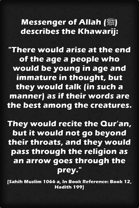 These are Khawarij tendencies, whose imaan are like arrows released from a bow.. which once gone never returns. Kinda reminds us of this..
