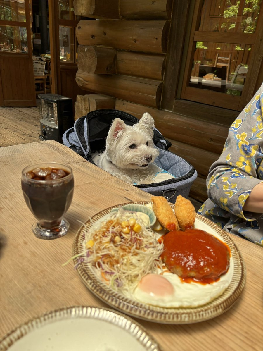 nasuke03's tweet image. テラス席でランチ