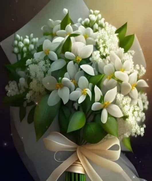 Chahine08023844's tweet photo. إزرع بقلبك أشخاصا يشبهون الياسمين.فالياسمين لا شوك له يهدي عبيره لكل الناس بدون إستثناء يقولون أشجار الياسمين
لا تتعب أحدا في البحث عنها لأن عبيرها وعطرها يدل عليها،كذلك بعض البشر يعرفهم الناس بما يفوح من عظمة مواقفهم وطيب افعالهم وجميل عبارتهم...
يسعد صباحكم https://t.co/xd111fLEG5