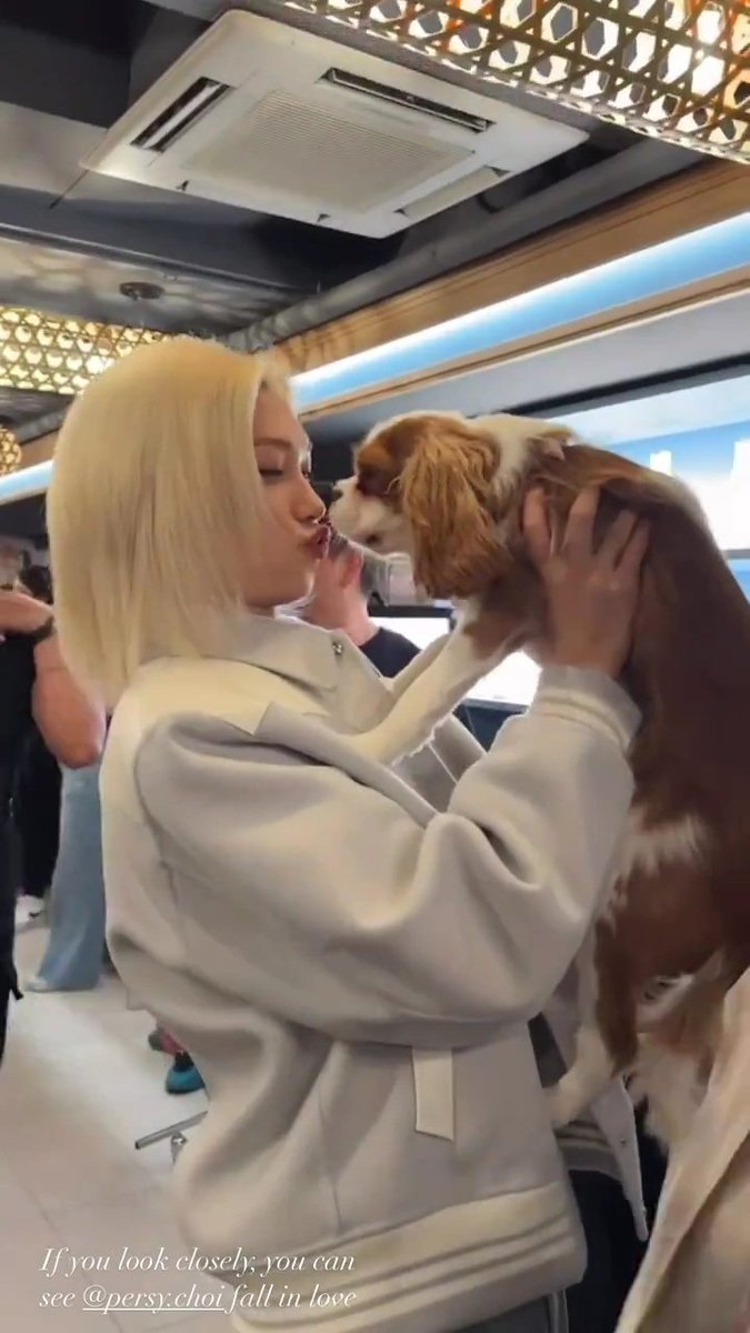 Bbokk_lix's tweet image. 뽁부리 최대출력