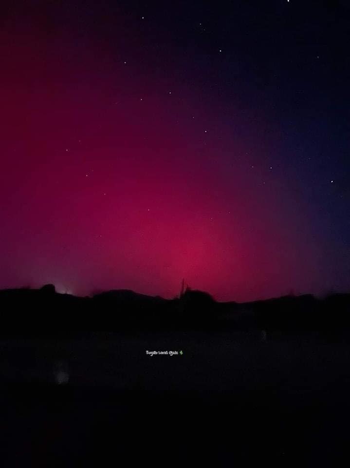 Berenice tweet media