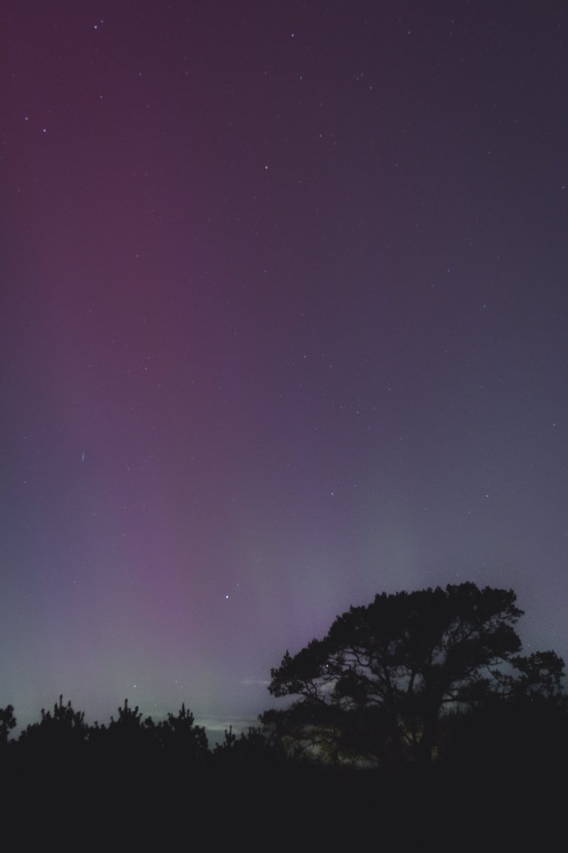 Never thought I'd see #AuroraBorealis in Connecticut, let alone my backyard. What a show tonight #NorthernLights