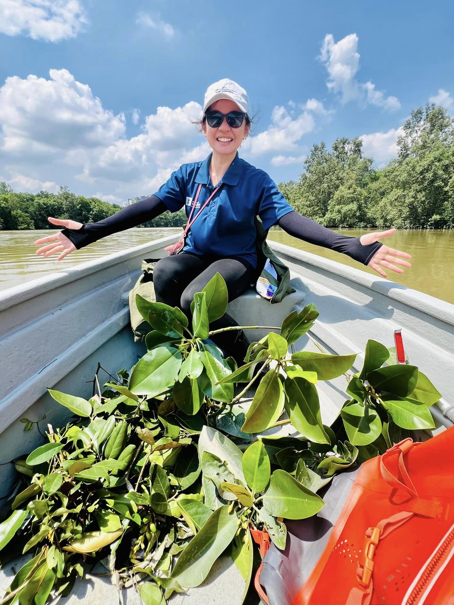 This week, we conducted a biodiversity survey at the mangroves of Kampung Sungai Melayu and opened our ears to the history, culture and needs of the local people, to help develop ecotourism that is both science-driven and need-based. Thanks, #IIB and #KBPM @MyMangrove