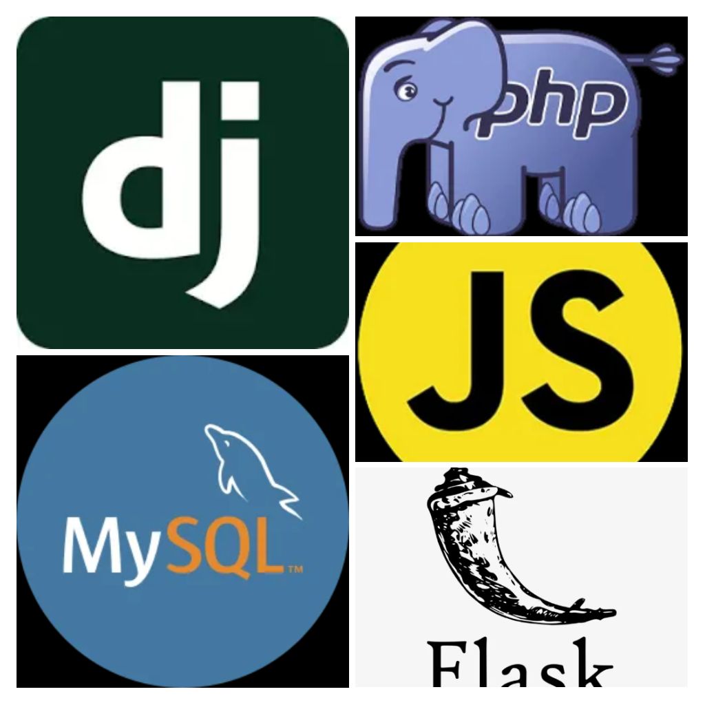 Dhanian 🗯️ tweet media